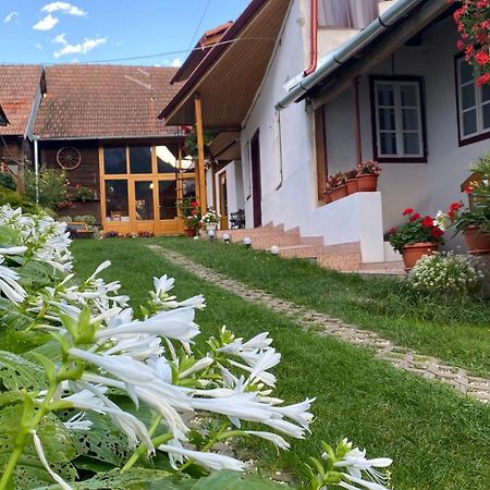 فندق Casa Kelemen Iren ريميتيا المظهر الخارجي الصورة