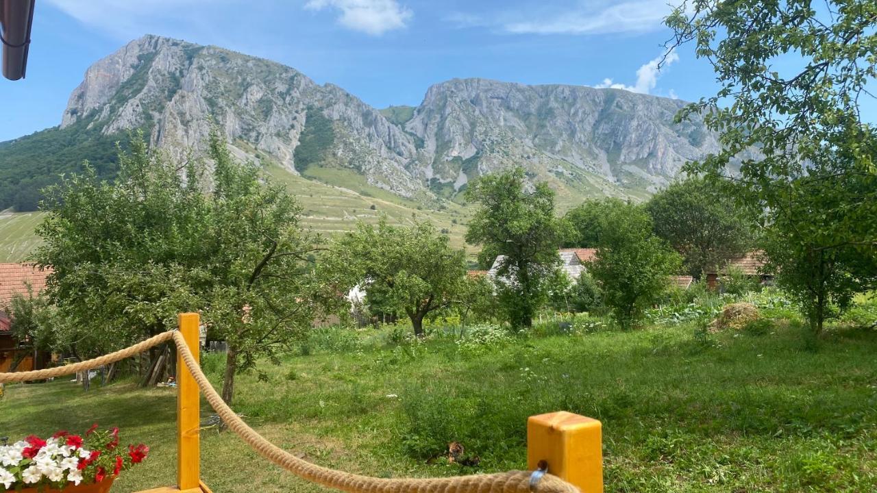 فندق Casa Kelemen Iren ريميتيا المظهر الخارجي الصورة