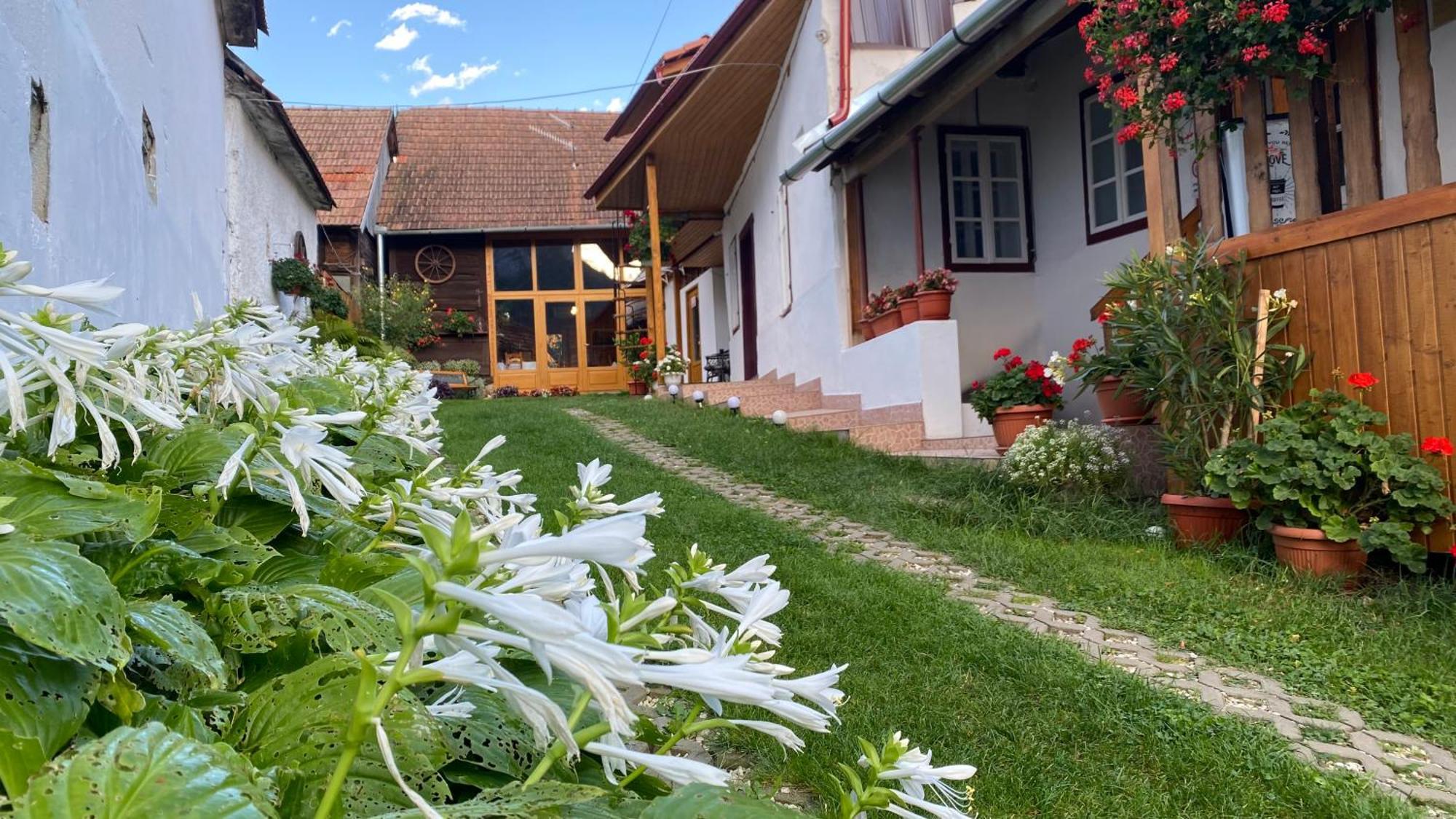 فندق Casa Kelemen Iren ريميتيا المظهر الخارجي الصورة